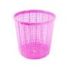 rosa 2