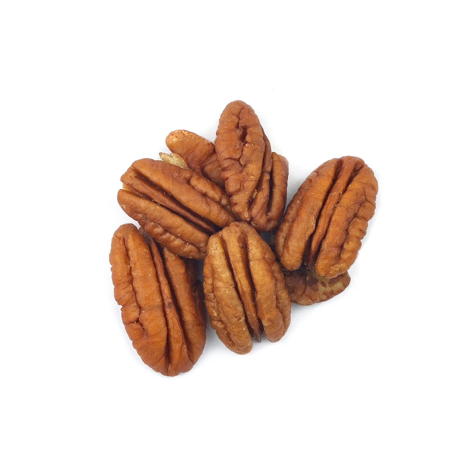 Cheap Sales Pecan Nuts/healthy Organic Roasted Pecan Nuts For Sale