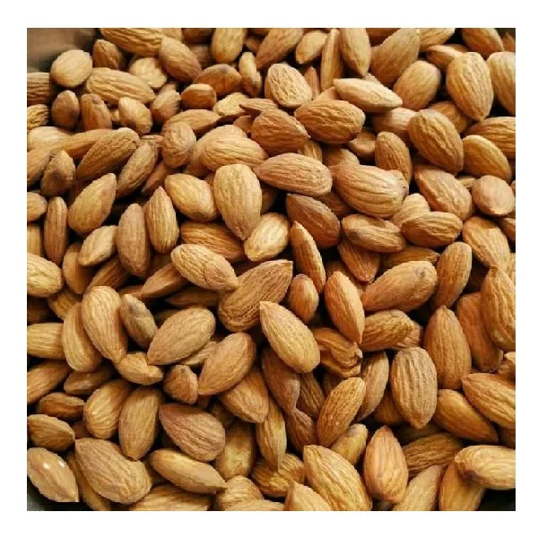 High Quality Dried Raw Almond Nuts for Food Use