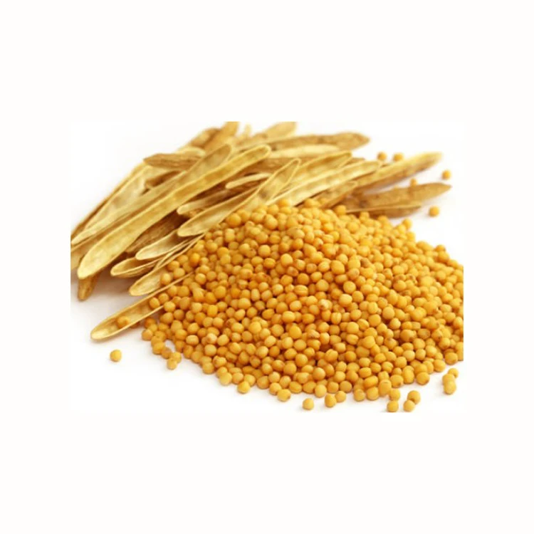 Bulk Price Organic Mustard Seeds Priduct For Sale,Wholesale Supplier Of
