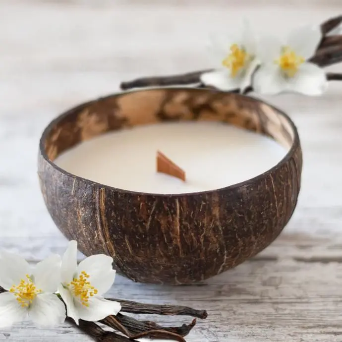 Natural Coconut Candles Are Made From Coconuts - Buy Cheap Canned ...