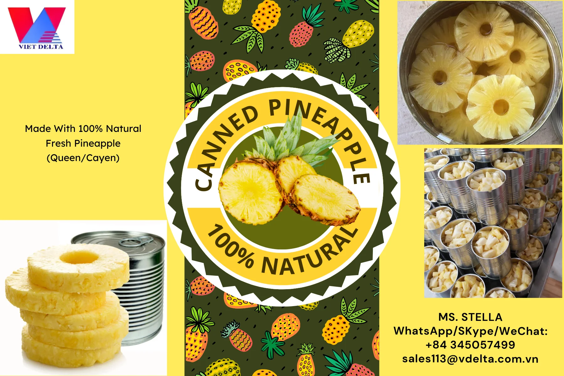 Canned Slice Pineapple In Syrup Product Of Vietnam Factory/ Queen