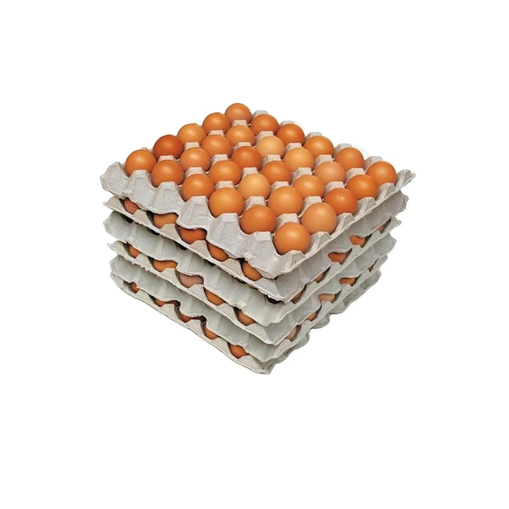 Broiler Hatching Eggs Ross 308 And Cobb 500 And Chicken Table Eggs