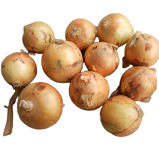 New Crop Wholesale Onion New Crop Onion And Fresh Garlic From Canada