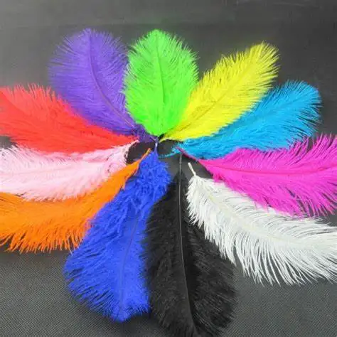 Wholesale Bulk Ostrich Feathers Ostrich Feathers Festival Ostrich ...