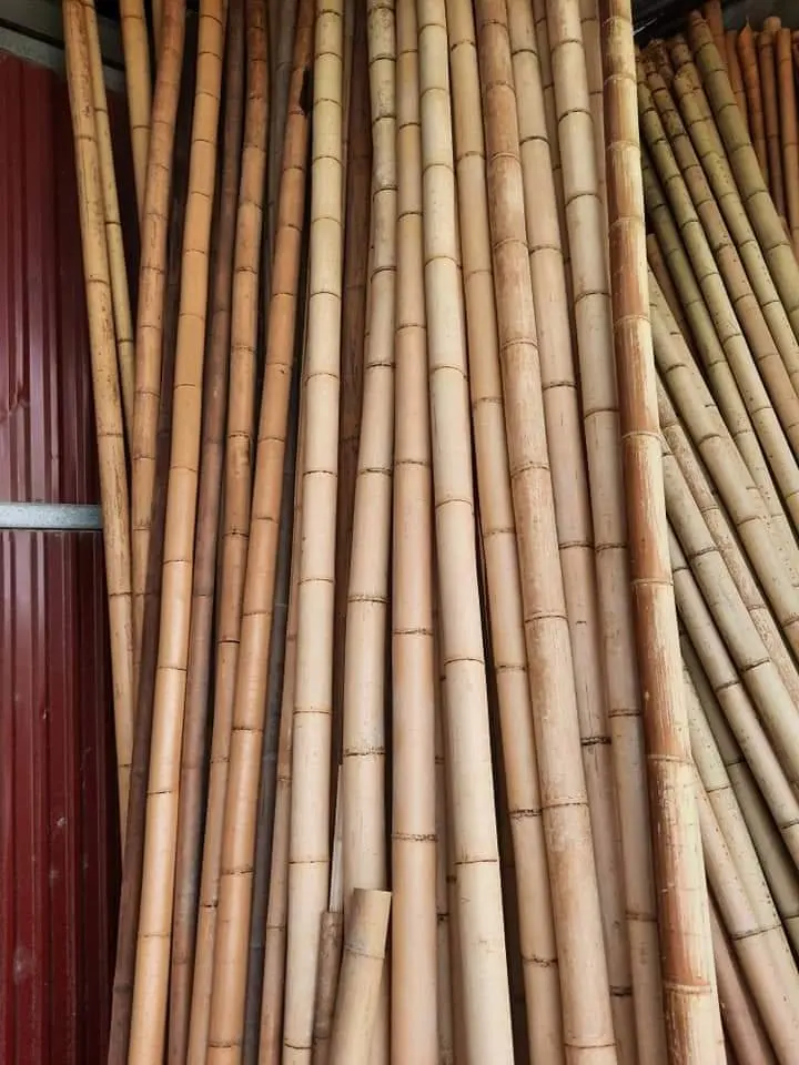 Ecofriendly Different Size Bamboo Pole,Raw Bamboo Materials With