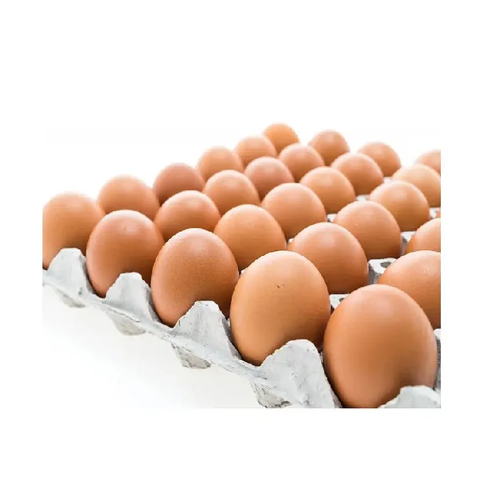 Fresh Chicken Table Eggs - Fertilized Hatching Chicken Eggs,White And