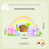 Hydrangea Rainbow Bridge Dodge
