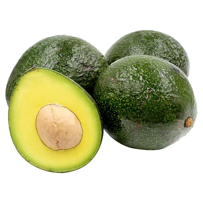 High Quality Avocado From Mexico /avocado Hass Buy Avocado Fresh