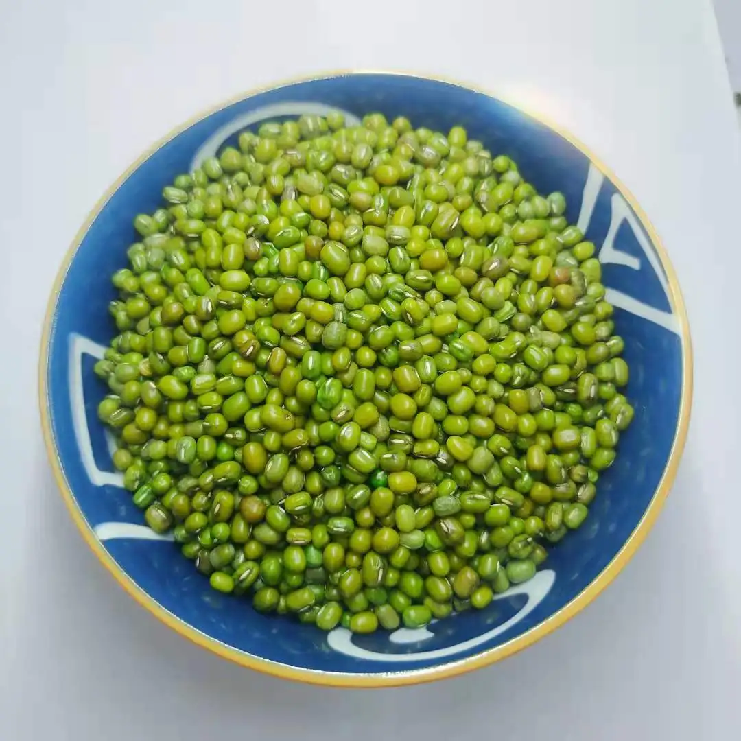 Quality Mung Beans For Export Buy Bulk Beans For Sale Bulk Mung Beans