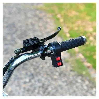 DOTMALL EHoodax 05WQ Electric Tricycles 18 Inch Fat Electric Scooter 2000W Motor 150KG Max Load 20000mAh Battery Black