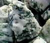 Tree Agate