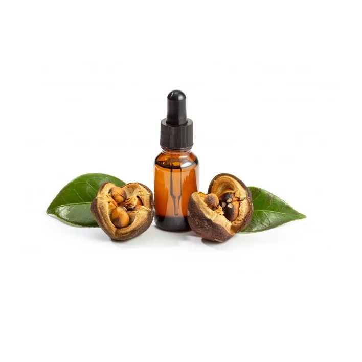 Высококачественное Чистое рафинированное масло семян камелии для продажи по самой низкой оптовой