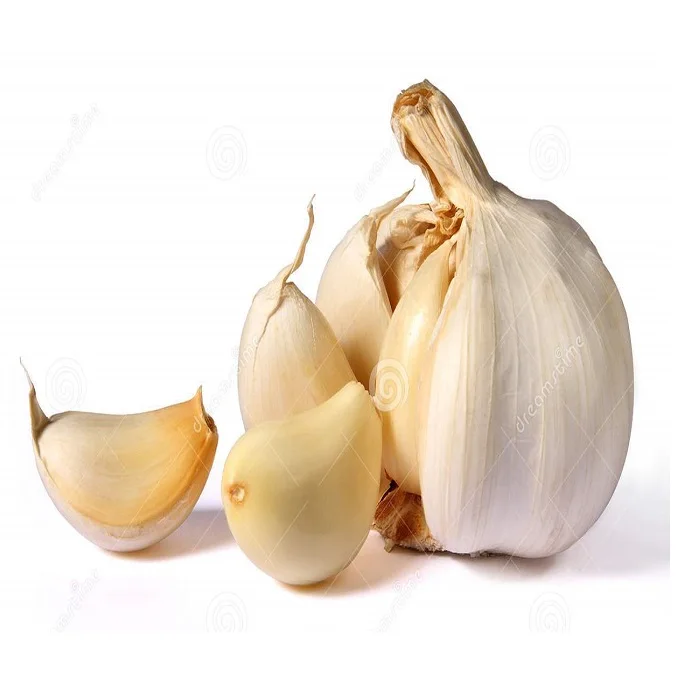 Fresh garlic Thailand New Crop 2022 Supply Garlic Normal White And Pure ...