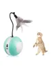cat toy