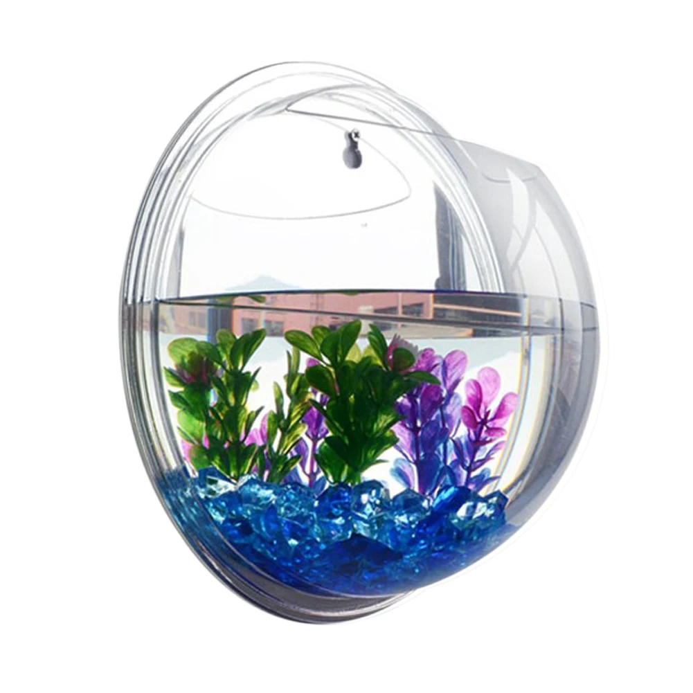 Acrylic Dome Model Aquarium: A Unique and Stunning Display Piece for ...