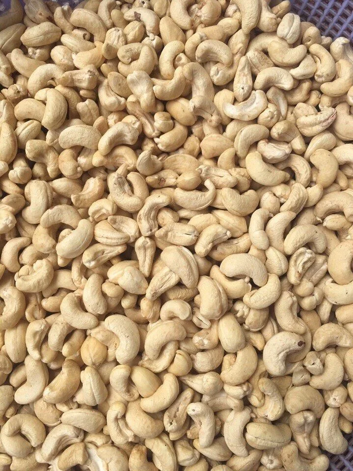 Sweet dried cashew nuts / Premium Quality Raw Cashew Nuts for Sale