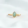 Amazonita