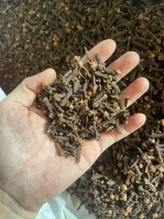 Cloves Buy Cloves For Sale,Cloves In Vietnam,Indonesia Cloves Product