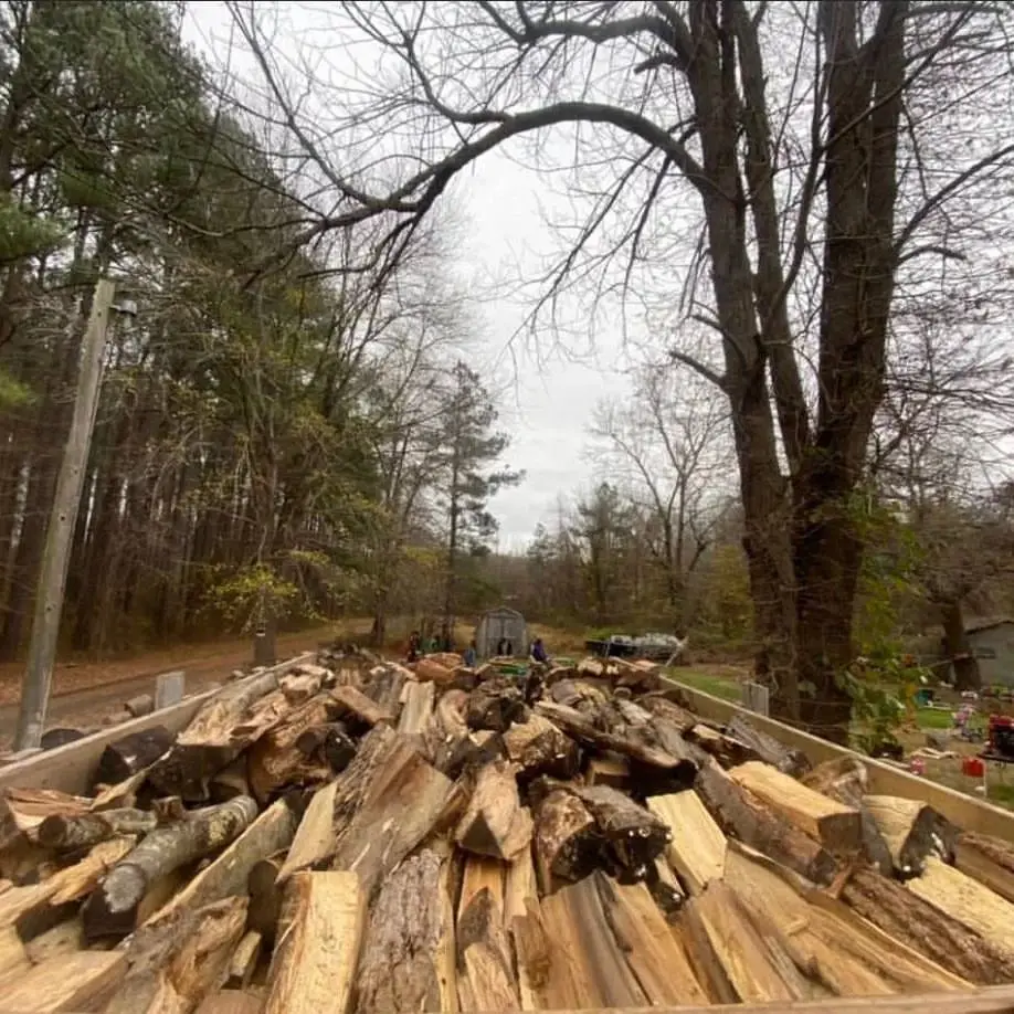 Great Value Dried Quality Firewood Buy Supplier Bulk Hardwood Oak