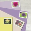 Blanc#Beauté du jardin 2021