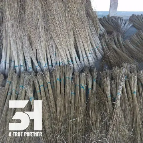 Vietnamese Palm Broomstick And Coco Broomstick With High Quality And