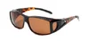 C8: Tortoise/Brown