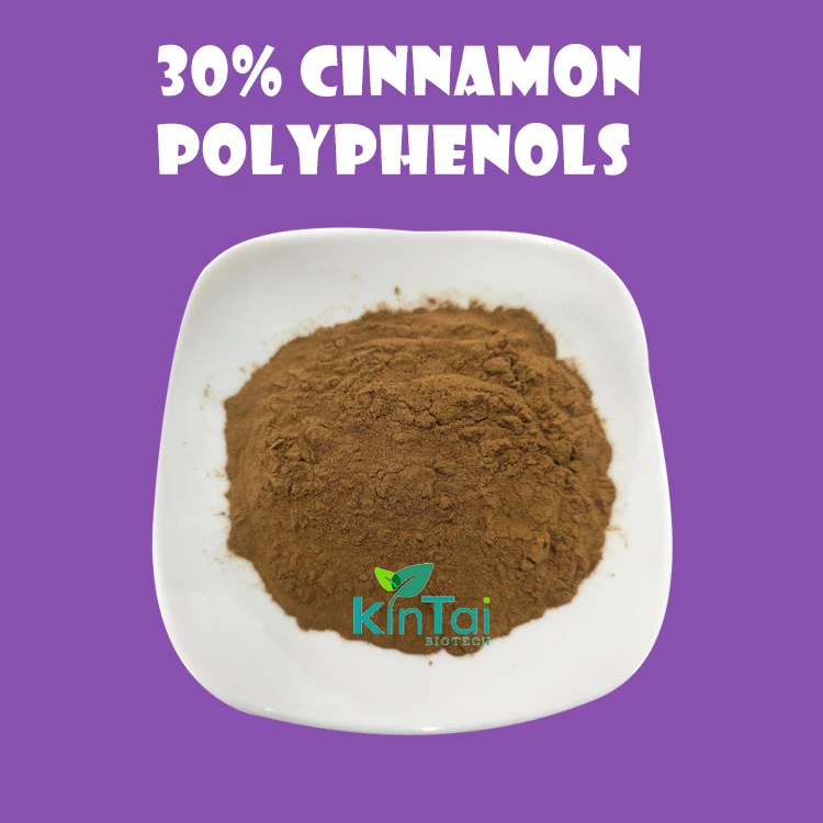 Wholesale Bulk Cinnamon Polyphenols 30 Cinnamon Bark Extract Cinnamon