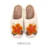 Hibisco