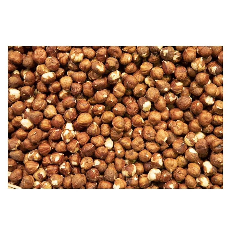 Bulk Stock Available Of Dried Organic Hazelnuts At Wholesale Prices