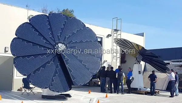 New Arrival Customized Flower Shape Sunpower Solar Panel 55V 330W Fiore Fotovoltaico Prezzo Pannelli Solare