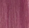Fantasy Color Violet