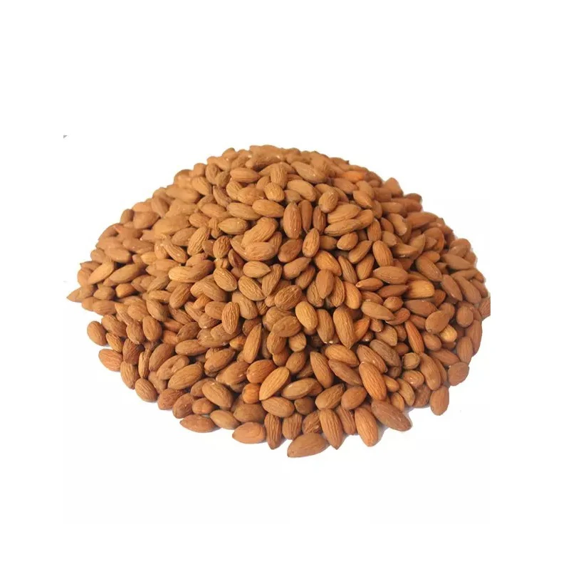 Wholesale Rich In Crude Fat Protein Organic Sweet Almond Kernel Nuts