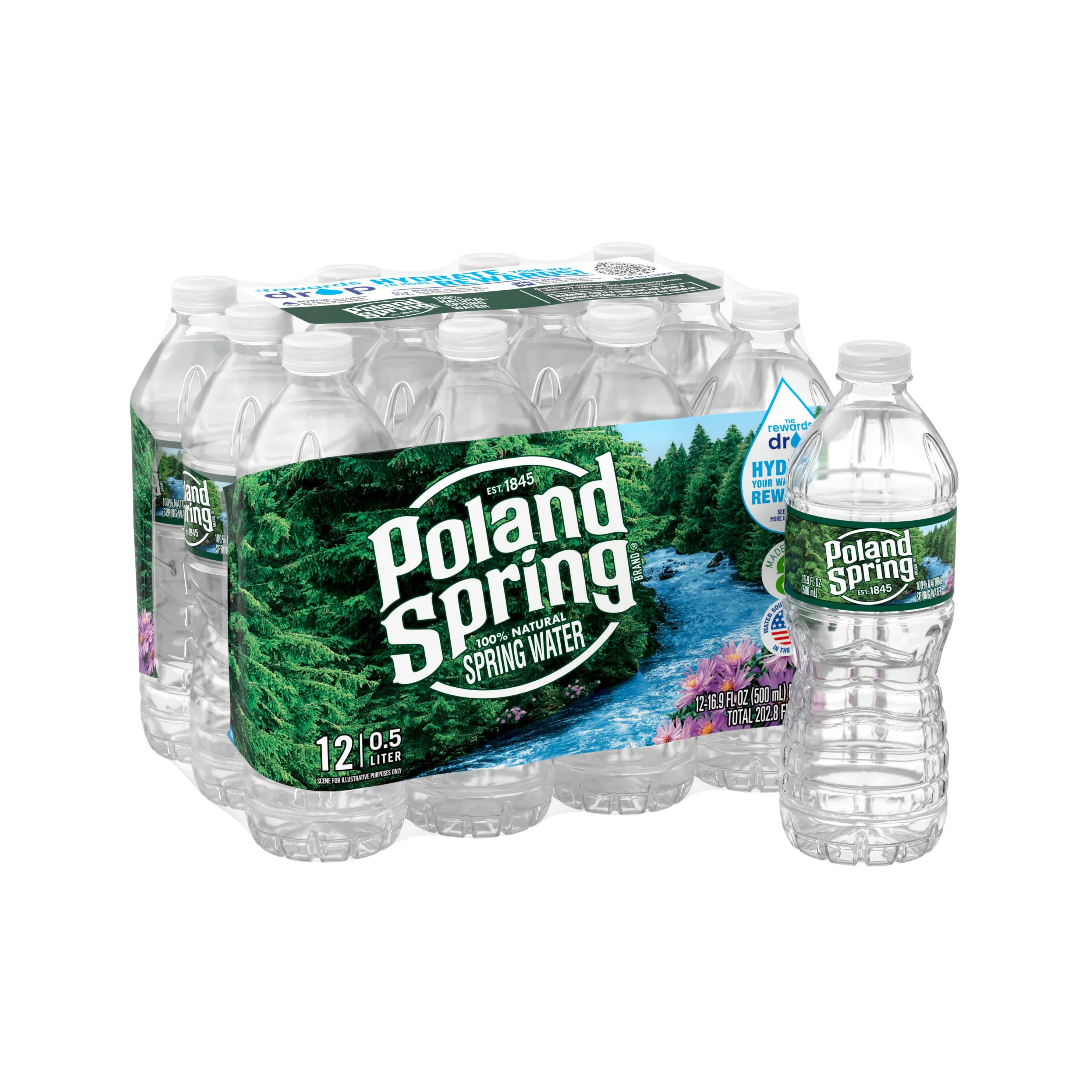 Poland Spring 100 Natural Spring Water 8oz Bottle (pack Of 15 Total Of 120 Fl Oz) Buy Poland