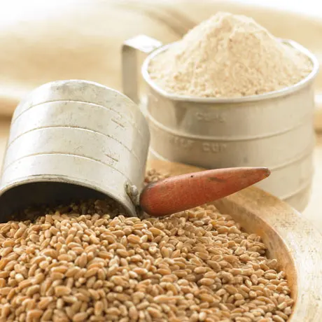 White Flour For All Purpose Wheat Flour In 25kg 50kg Bags For Sale ...