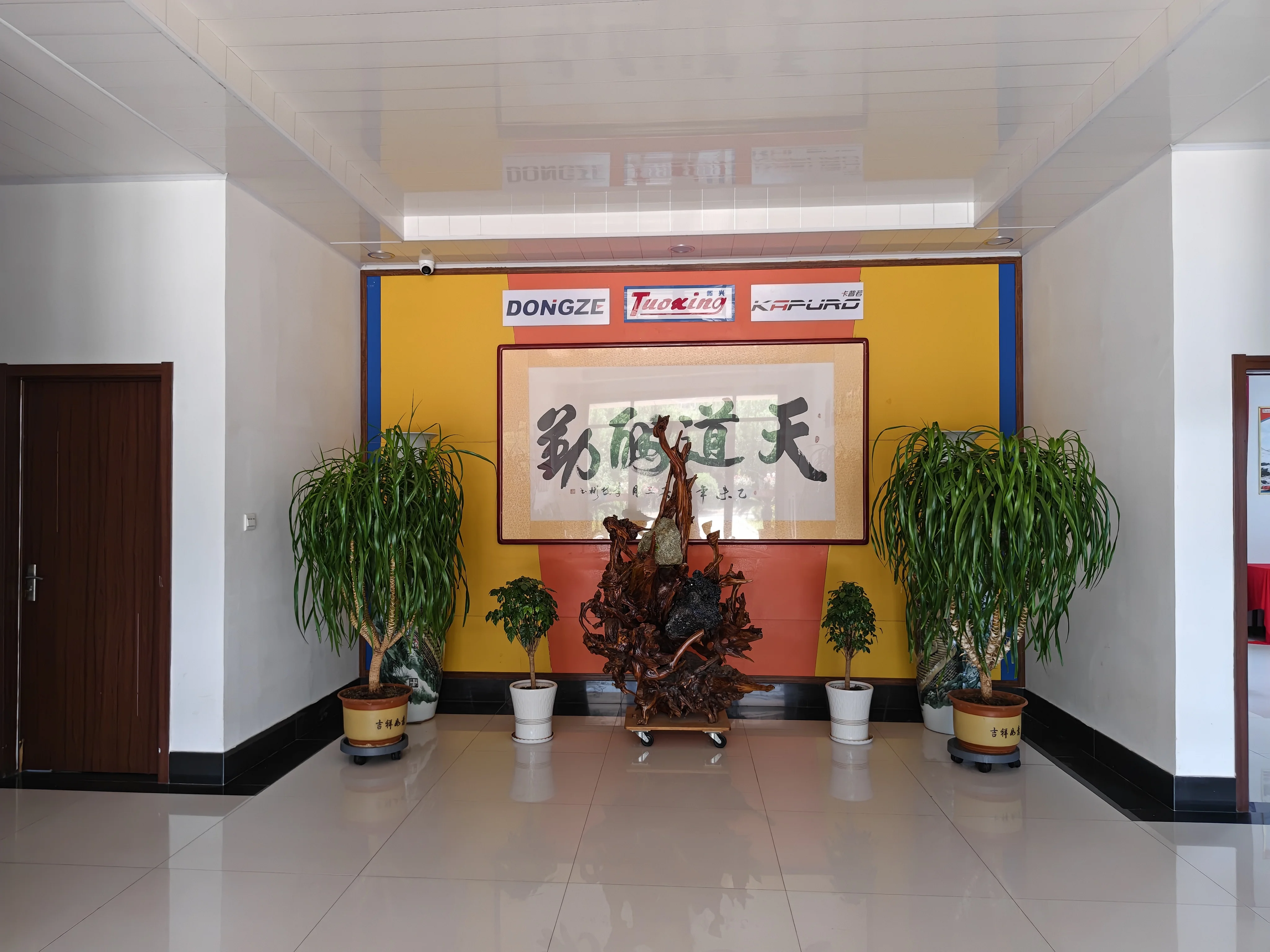 Company overview