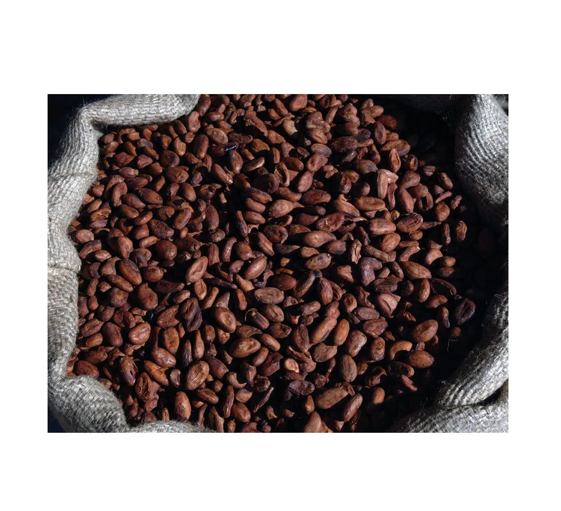 Cheap Price Supplier From Germany Cocoa Beans Ariba Cacao Beans Dried ...