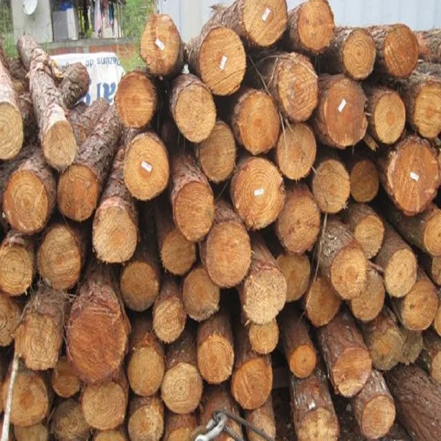 High Quality Teak Timber Logs Teak Timber Timber Logs Wood Buy Logs