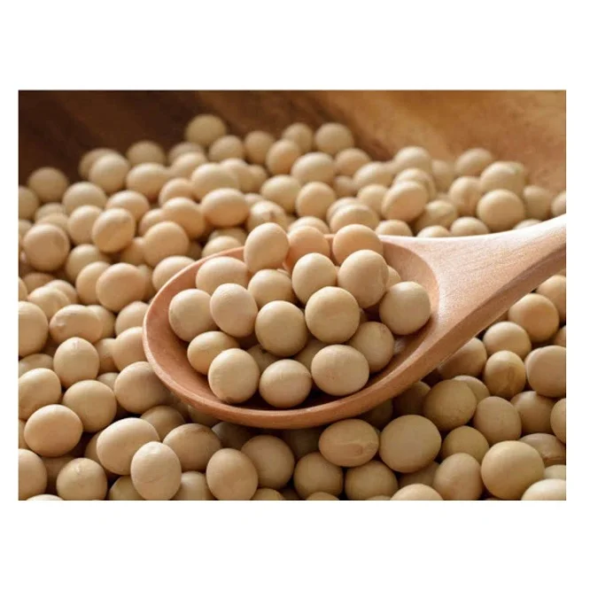 High Protein Yellow Soybean Soya Beans / Soy Bean For Sale Buy