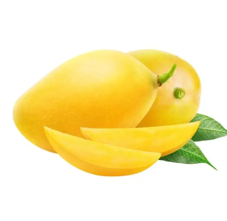 0100 (7).png