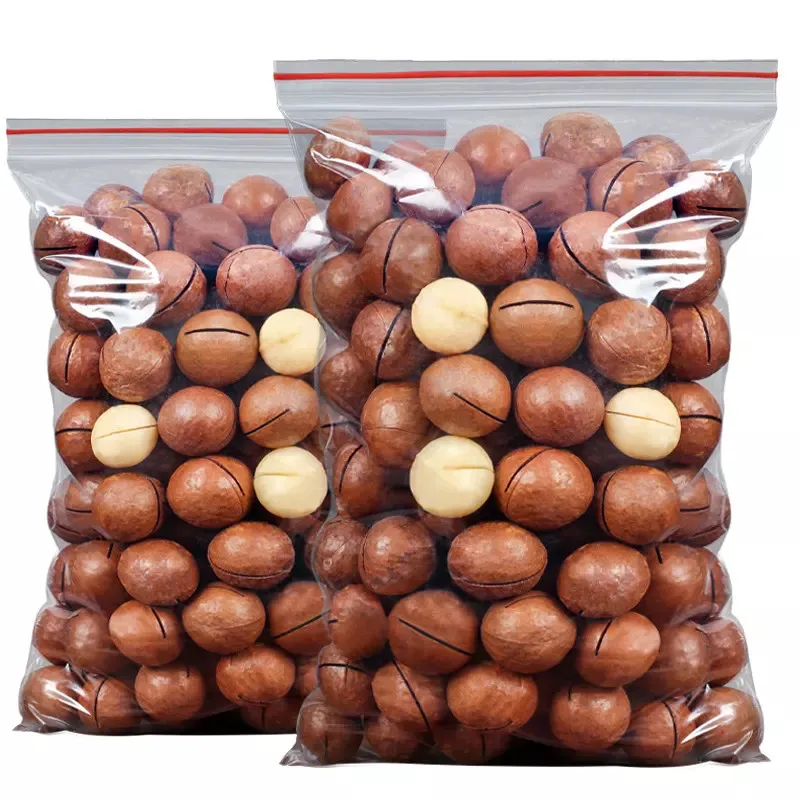 Hot Sale Nut & Kernel Vietnam Roasted/raw Macadamia 100 High Dried