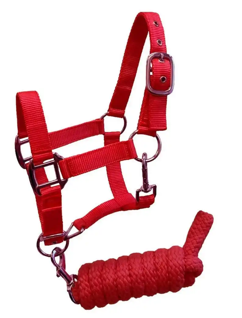 High Demanded Horse Halter With Flees For Horse Riding Use Available At