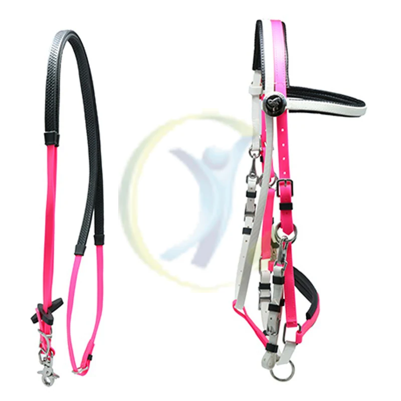 Arabian Horse Halter Made From Tpu Coated Nylon Webbing Brass Hardware