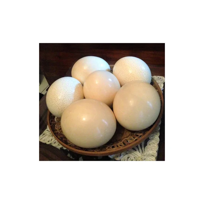 Premium Unsalted Roasted Pistachios Dried Pistachios From Nature Deluxe