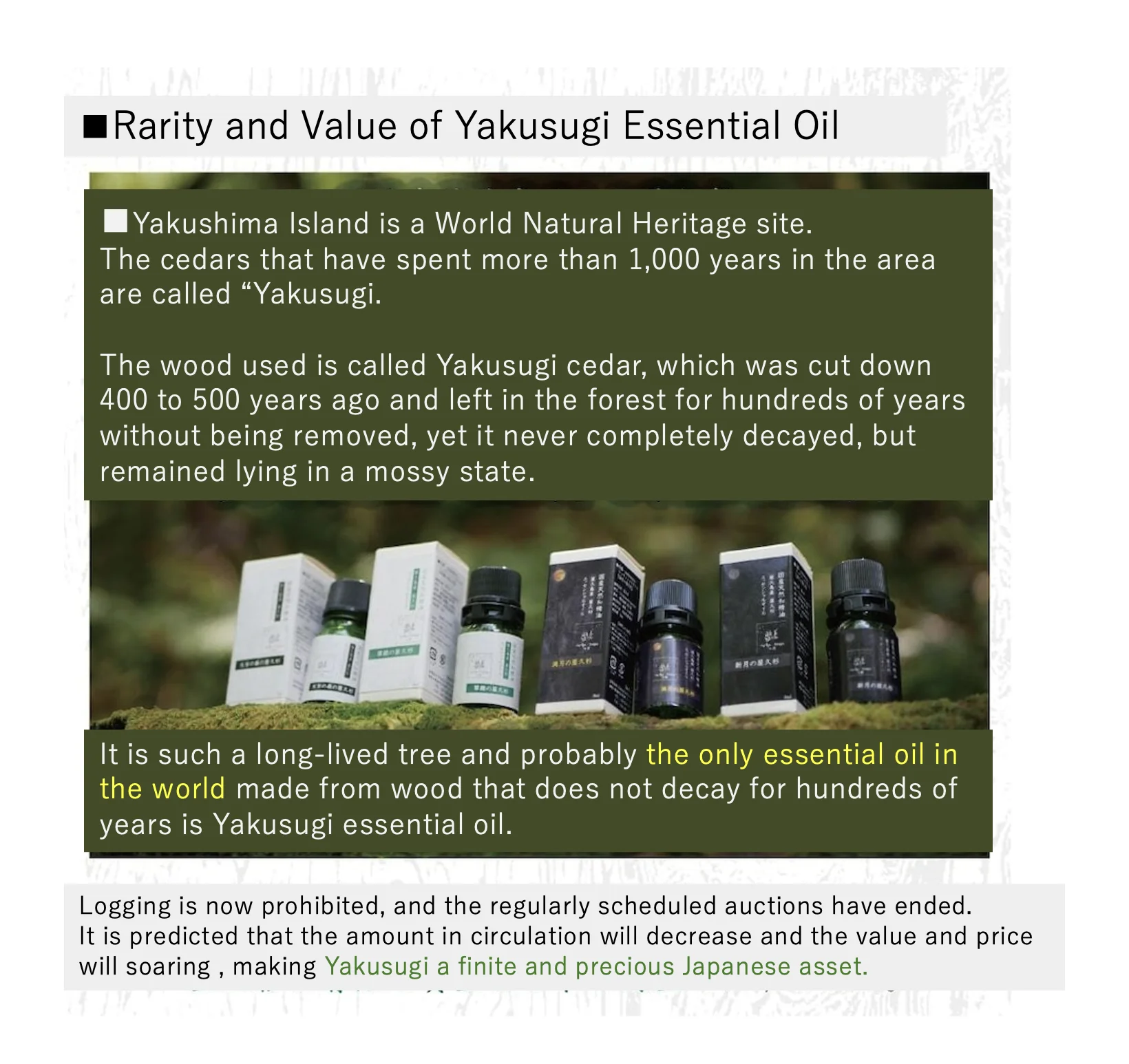 MADE IN JAPAN from Yakushima Island] Yakusugi Essencial oil