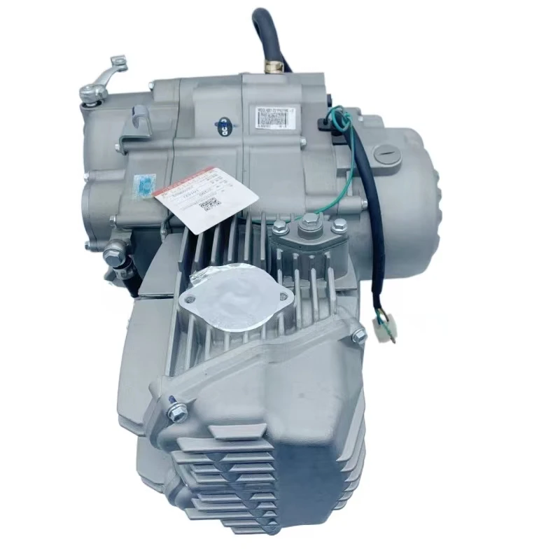 eng Zongshen ZS1P62YML-2 W190 190cc Horizontal Engine Assembly for KTM