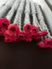 Pink Flower
