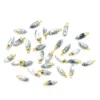Dendritic Opal