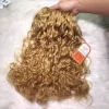 Burmese Curly Blonde