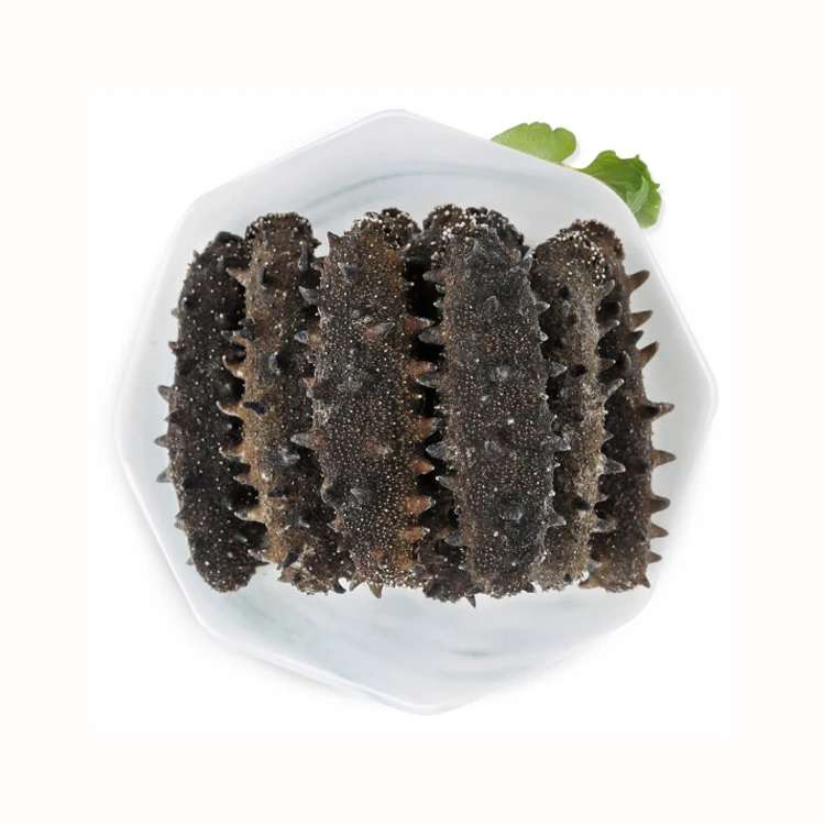 Top Quality Frozen Sand Fish Sea Cucumber Buy Dried Mexico Sea Cucumber Fresh Sea Cucumber
